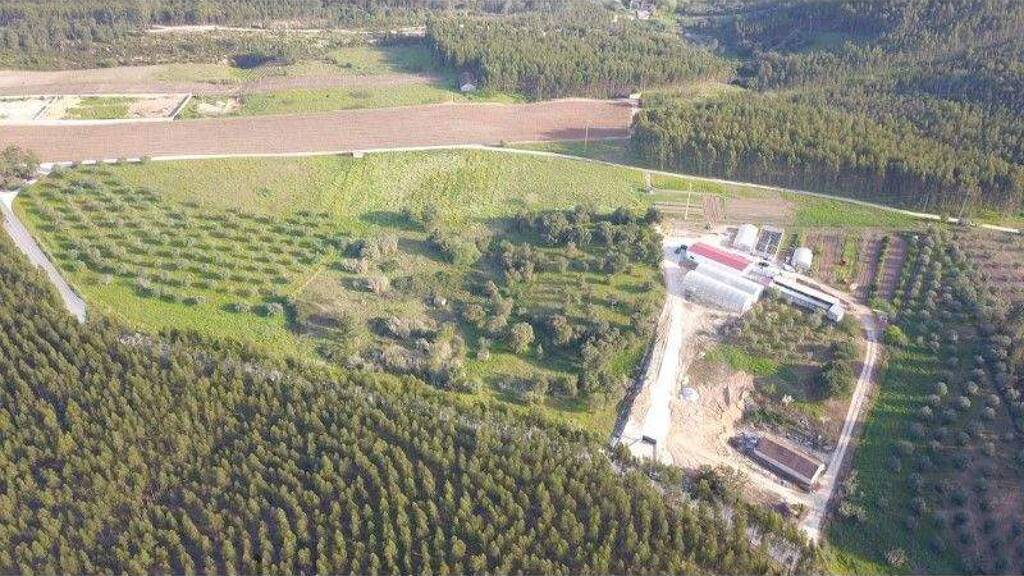 Grundstück zum Kauf 20.000 € 8.080 m² Grundstück Rio Maior