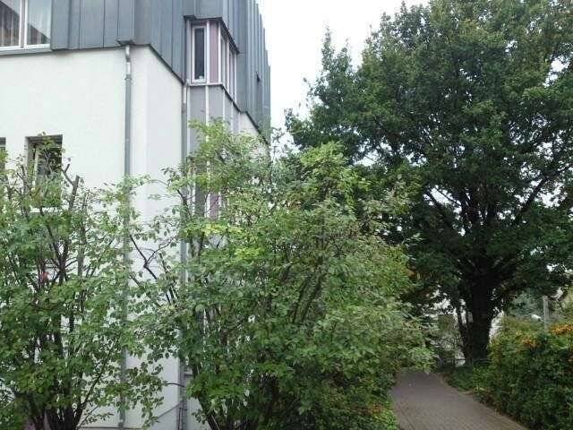 Property thumbnail 8