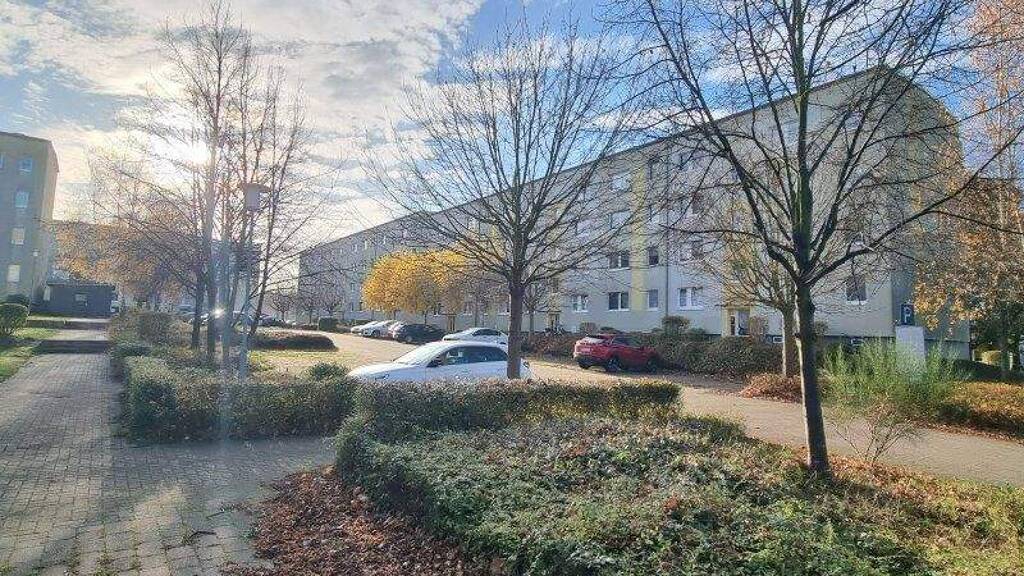 Wohnung zur Miete 475 € 3 Zimmer 59 m² frei ab sofort Am Volkskulturpark 21 Pasewalk 17309