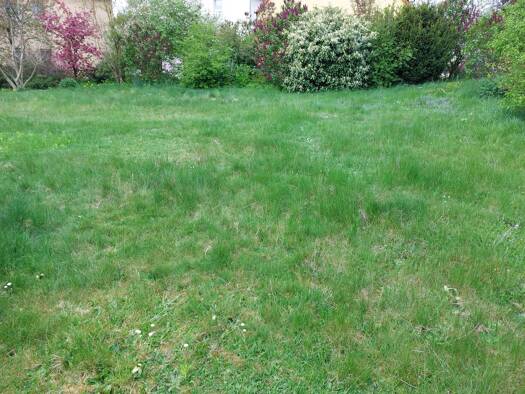 Grundstück zum Kauf provisionsfrei 219.000 € 540 m² Grundstück Baugenehmigung vorhanden frei ab sofort Hopfenweg Pyrbaum Pyrbaum 90602