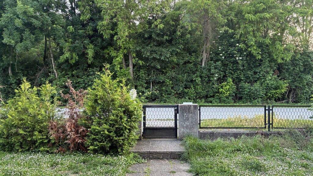 Einfamilienhaus zum Kauf provisionsfrei 300.000 € 4 Zimmer 130 m² 650 m² Grundstück Pframa 2305