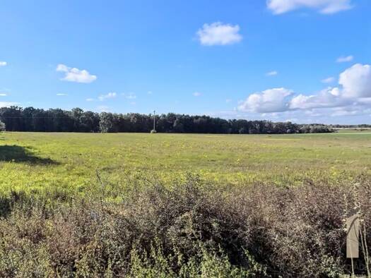 Grundstück zum Kauf 201.000 € 804 m² Grundstück Osloß 38557