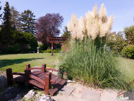 Bungalow zum Kauf 897.000 € 4 Zimmer 110 m² 1.540 m² Grundstück Schwechat 2320