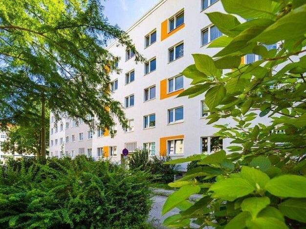 Wohnung zur Miete 513 € 2 Zimmer 48,6 m² frei ab 28.02.2026 Enderstr. 66 Seidnitz/Dobritz Dresden 01277