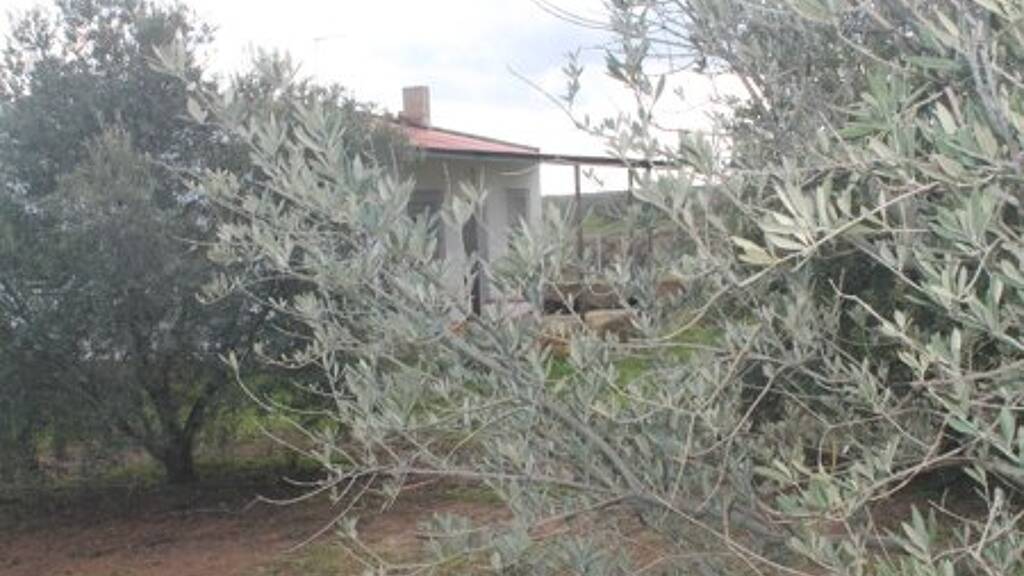 Bauernhaus zum Kauf 84.000 € 4 Zimmer 120 m² 15.000 m² Grundstück Rociana del Condado 21720