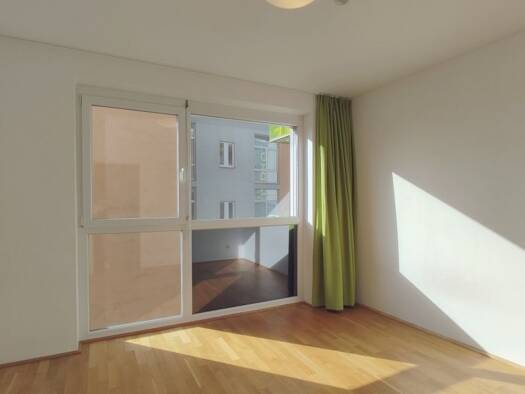 Wohnung zur Miete 714 € 3 Zimmer 55,1 m² 1. Geschoss Lustenau Linz 4020