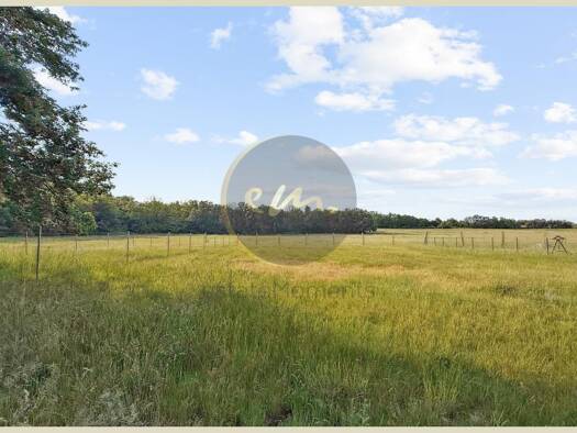 Grundstück zum Kauf 650.000 € 1.342 m² Grundstück Baugenehmigung vorhanden frei ab sofort Ruhlsdorf Teltow 14513