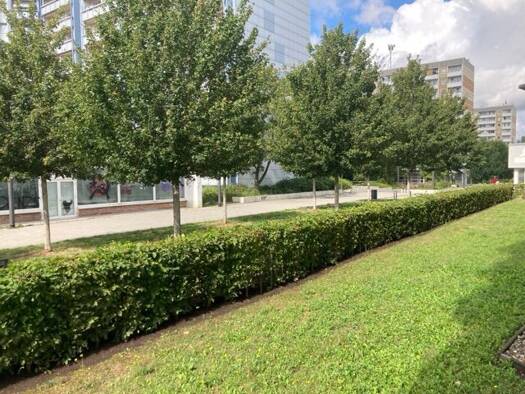Wohnung zur Miete 373 € 2 Zimmer 52,6 m² EG frei ab 20.10.2026 Berliner Straße 27 Berliner Platz Erfurt 99091