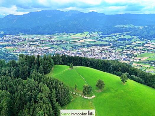 Land-/Forstwirtschaft zum Kauf 399.000 € 47.756 m² Grundstück Oberschlierbach 4554