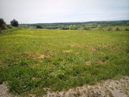 Grundstück zum Kauf 179.000 € Buje 52460