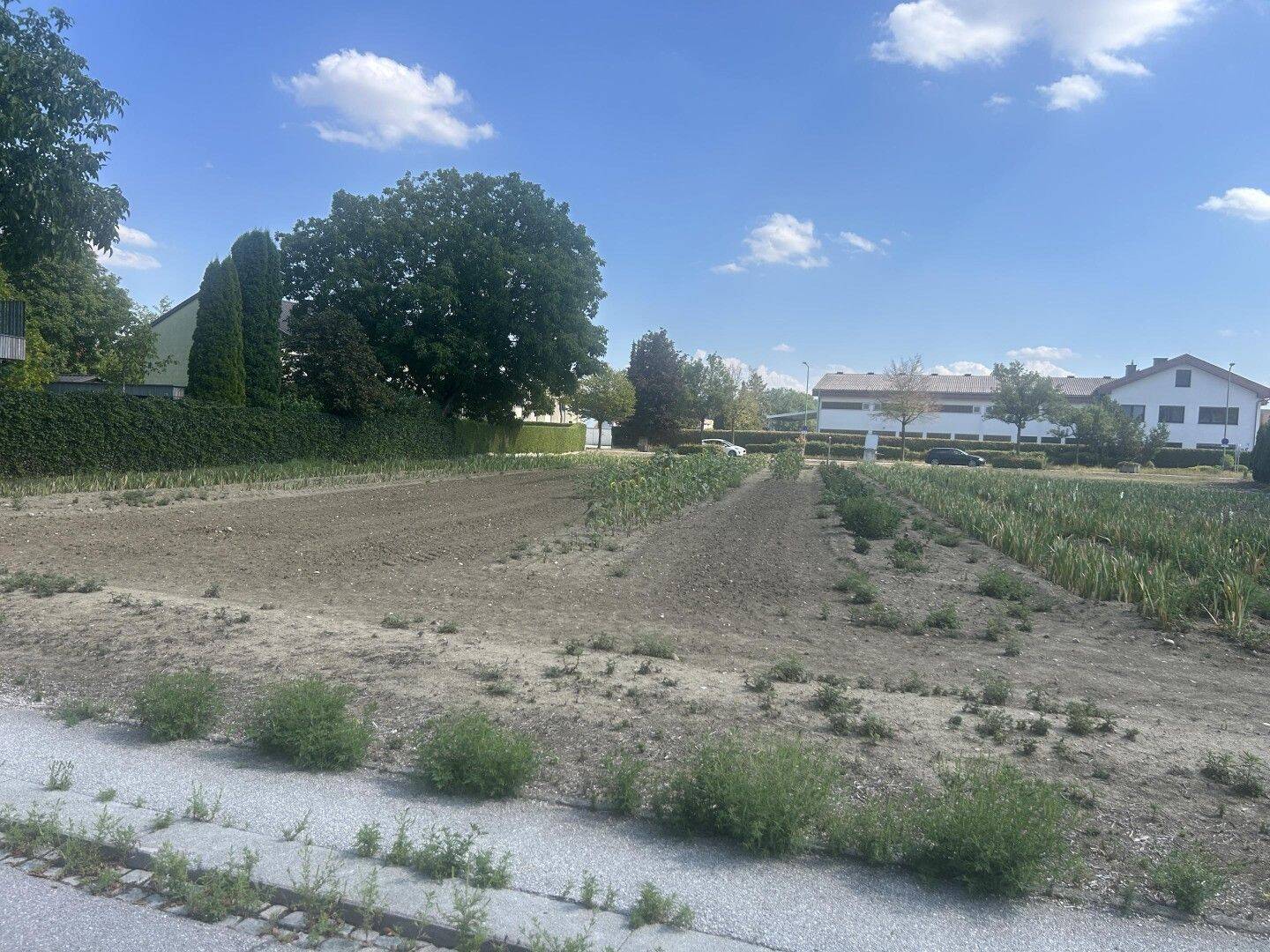Grundstück zum Kauf - View 2
