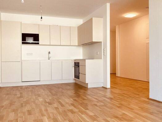 Wohnung zur Miete - Erstbezug 907 € 3 Zimmer 73,1 m² EG Bründlgraben 45A Krems an der Donau 3500