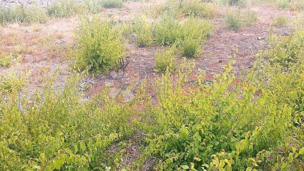 Land-/Forstwirtschaft zum Kauf 185.000 € Malinska-Dubasnica