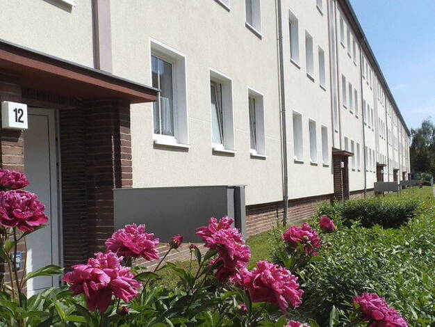 Wohnung zur Miete 470 € 2 Zimmer 62 m² EG Eisnerstraße 14 Stadtfeld West Stadtfeld West 39110