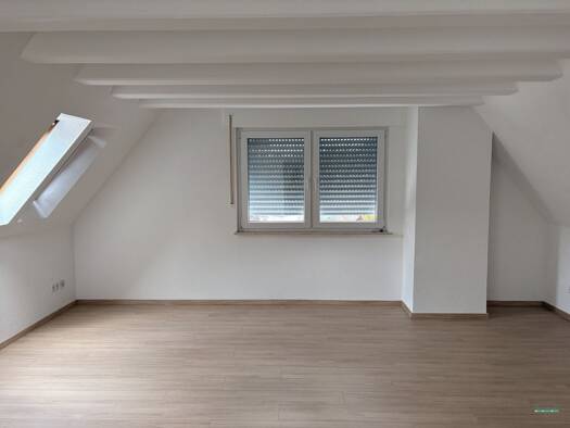 Wohnung zur Miete 360 € 1 Zimmer 55 m² 3. Geschoss frei ab sofort Gevelsberg Gevelsberg 58285