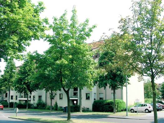 Wohnung zur Miete 760 € 3 Zimmer 74,4 m² 1. Geschoss frei ab 01.10.2026 Theodor-Heuss-Allee 21 Altenbauna Baunatal 34225