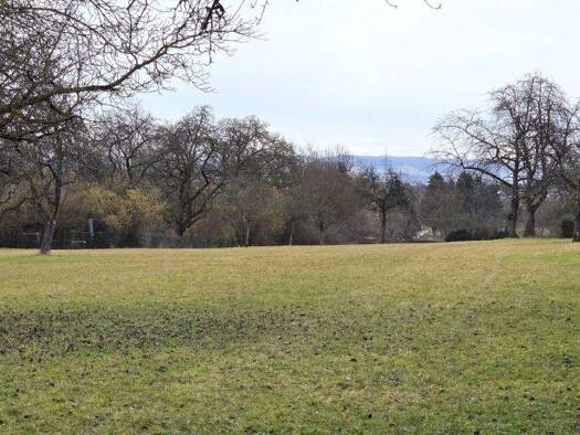 Land-/Forstwirtschaft zum Kauf 12.500 € 1.163 m² Grundstück Stammheim Stuttgart Stammheim 70439