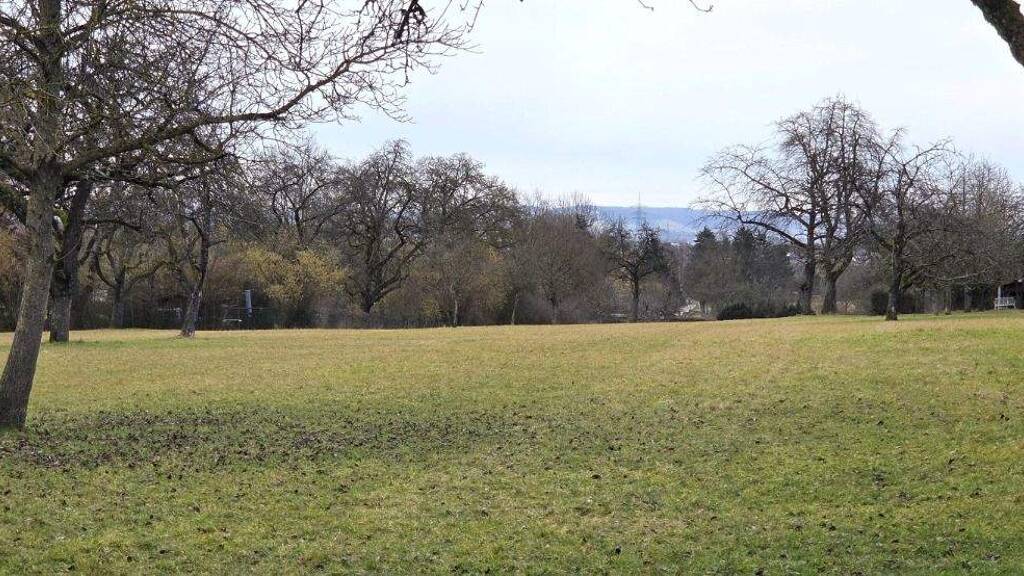 Land-/Forstwirtschaft zum Kauf 12.500 € 1.163 m² Grundstück Stammheim Stuttgart Stammheim 70439