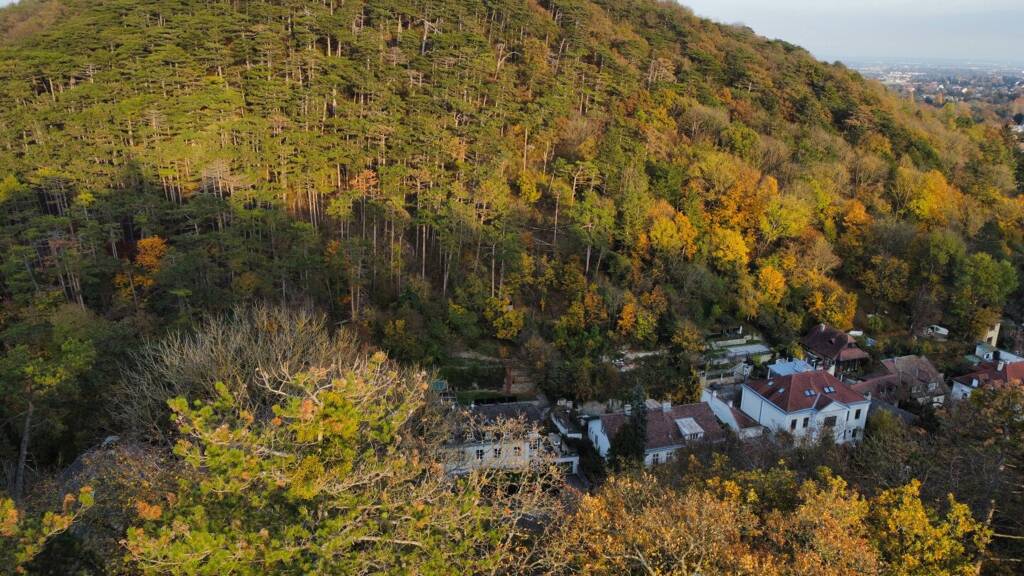 Haus zum Kauf 198.000 € 28 m² 1.329 m² Grundstück Wien 1230