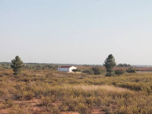 Reiterhof zum Kauf provisionsfrei 130.000 € 140 m² 30.000 m² Grundstück Rociana del Condado 21720