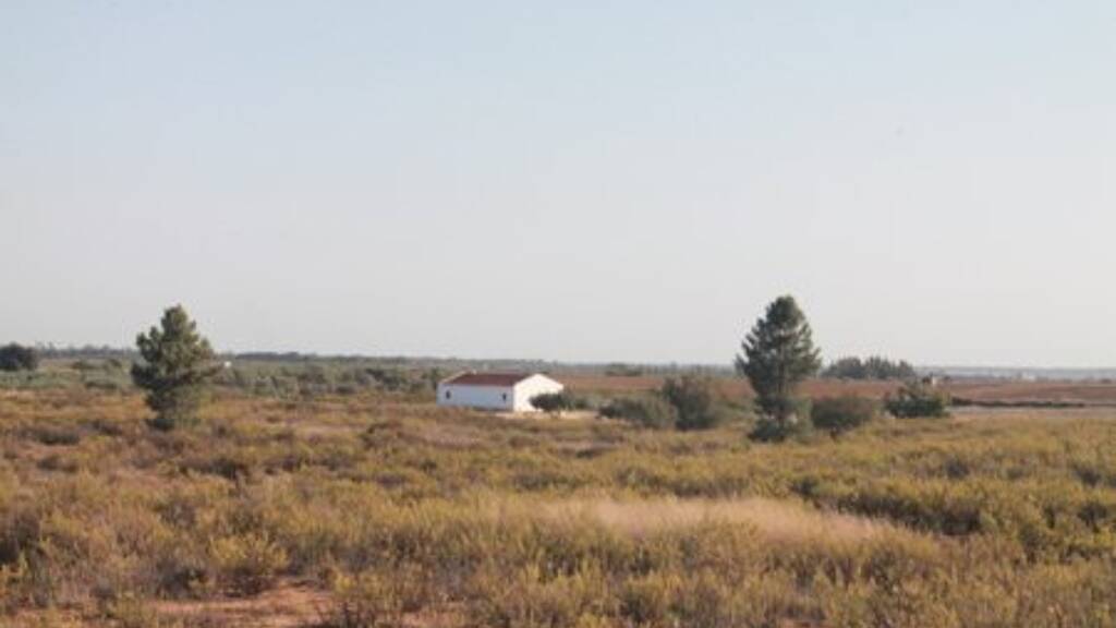 Reiterhof zum Kauf provisionsfrei 130.000 € 140 m² 30.000 m² Grundstück Rociana del Condado 21720