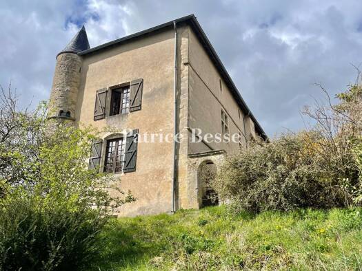 Schloss zum Kauf 430.000 € 11 Zimmer 421 m² 2.971 m² Grundstück Neufchâteau 88300
