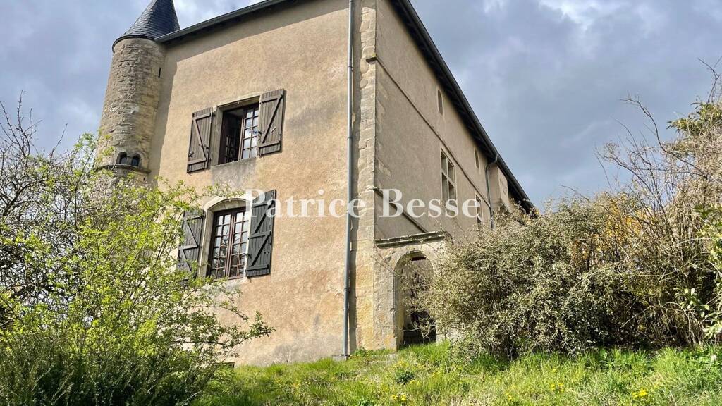 Schloss zum Kauf 430.000 € 11 Zimmer 421 m² 2.971 m² Grundstück Neufchâteau 88300