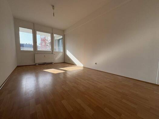 Wohnung zur Miete 624 € 2 Zimmer 73,4 m² 2. Geschoss Dinghoferstraße 54 Linz 4020