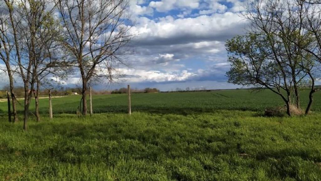 Grundstück zum Kauf 44.750 € 7.856 m² Grundstück Aba 8127