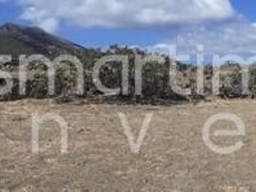 Land-/Forstwirtschaft zum Kauf 350.000 € Municipality of Sifnos 840 03