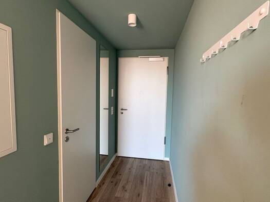 Wohnung zur Miete 700 € 1 Zimmer 17 m² Geschoss EG/5 frei ab 01.09.2026 Halbergstraße Süd Ludwigshafen am Rhein 67061