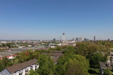 Wohnung zur Miete 525 € 2 Zimmer 50 m² Hobeisenstraße 6 Holsterhausen Essen 45147