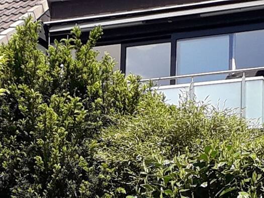 Wohnung zur Miete 1.480 € 4 Zimmer 85 m² Geschoss 1/3 frei ab 01.01.2026 Lanterstr. 37 Huttrop Essen 45136