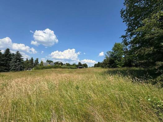 Grundstück zum Kauf 79.000 € 2.493 m² Grundstück Brand-Erbisdorf Brand-Erbisdorf / Langenau 09618