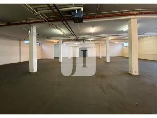 Lagerhalle zur Miete 705 m² Lagerfläche Billbrook Hamburg 22113