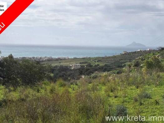 Land-/Forstwirtschaft zum Kauf 210.000 € 2.600 m² Grundstück Kalamaki 702 00