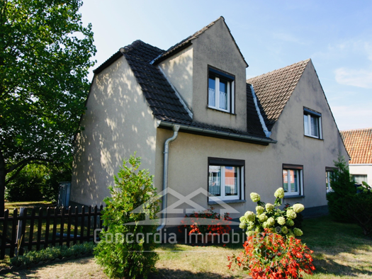 Einfamilienhaus zum Kauf 286.000 € 5 Zimmer 215 m² 1.439 m² Grundstück frei ab sofort Bornweg . Großenhain 01558