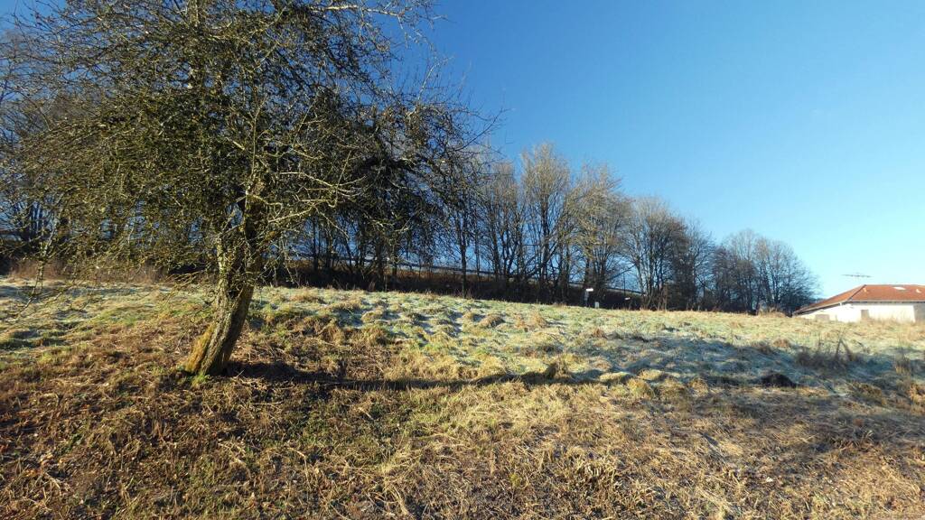 Grundstück zum Kauf 75.000 € 680 m² Grundstück frei ab sofort Weselberg 66919