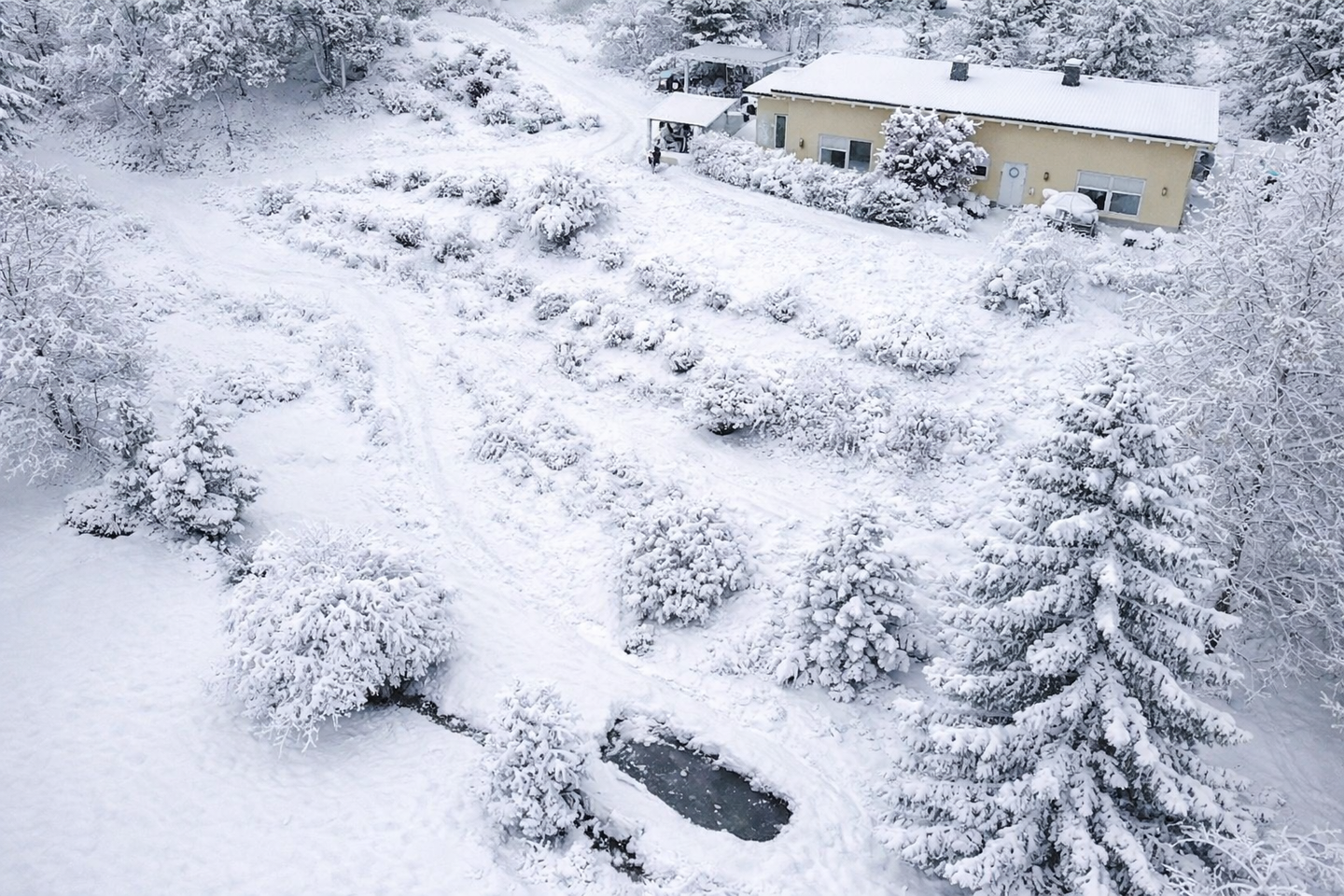 Immobilie in Steinach - Dort, wo die Berge flüstern - ein Haus für die Seele - Bild 0