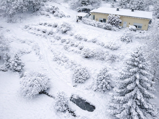 Haus zum Kauf 298.000 € 4 Zimmer 115,9 m² 2.504 m² Grundstück Steinach 96523
