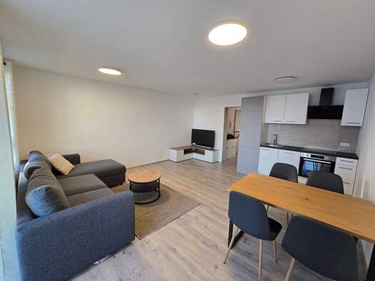 Wohnung zur Miete 1.150 € 2 Zimmer 54 m² Plattenwald Bad Friedrichshall 74177