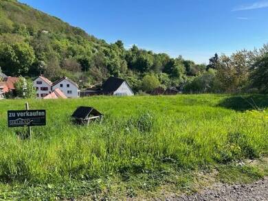 Grundstück zum Kauf 270.000 € 1.242 m² Grundstück Rechtenbach Schweigen-Rechtenbach 76889