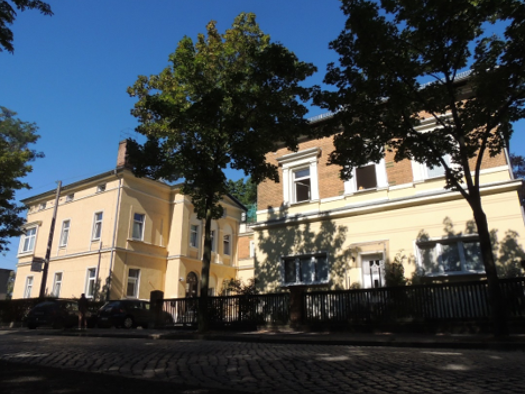 Wohnung zur Miete 298 € 2 Zimmer 50,5 m² EG frei ab sofort Glauchau 08371