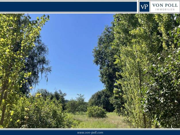 Grundstück zum Kauf 349.000 € 4.002 m² Grundstück Schünow Zossen 15806