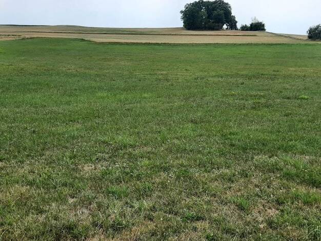 Grundstück zum Kauf 299.000 € 1.876 m² Grundstück Hackenberg Bernhardswald 93170
