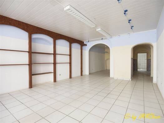 Ladenfläche zur Miete provisionsfrei 350 € 57 m² Verkaufsfläche Frankenberg 09669