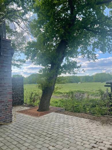 Doppelhaushälfte zur Miete - Neubau 1.550 € 6 Zimmer 145 m² frei ab sofort Wildeshausen 27793
