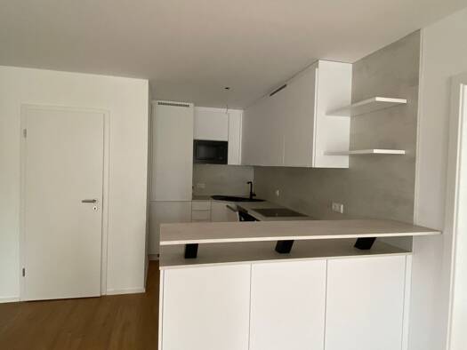 Terrassenwohnung zum Kauf - Neubau provisionsfrei 426.500 € 3,5 Zimmer 92,7 m² 2 Geschosse frei ab sofort Ersingen Erbach 89155