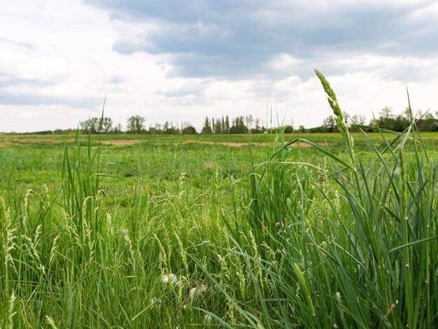 Penthouse zum Kauf - Neubau provisionsfrei 557.078 € 3 Zimmer 85,8 m² 3. Geschoss frei ab sofort Volkacher Straße Großgründlach Nürnberg 90427