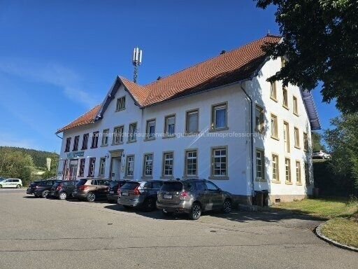 Mehrfamilienhaus zum Kauf 1.250.000 € 25 Zimmer 807 m²<br/>Wohnfläche 2.792 m²<br/>Grundstück Mühlbachstr. 5 Peterzell St Georgen 78112